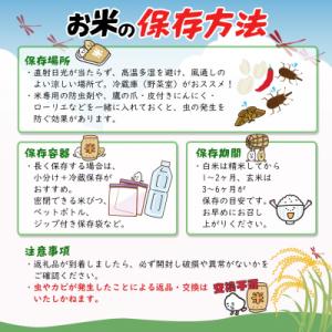 ふるさと納税 境町 米 玄米 コシヒカリ 30...の詳細画像3