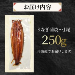 ふるさと納税 小松島市 特大 うなぎ 250g...の詳細画像3