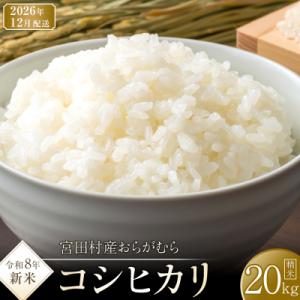 ふるさと納税 宮田村 【先行受付】【令和8年米】【新米】長野県宮田村産コシヒカリ/精米20kg/12月配送