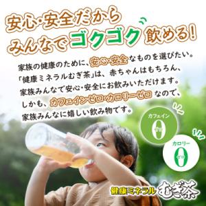 ふるさと納税 恵庭市 『定期便:全12回』健康...の詳細画像1
