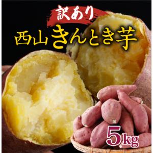 ふるさと納税 室戸市 【訳あり】西山きんとき芋5kg　新芋