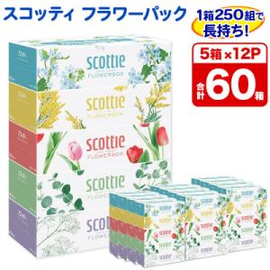 ふるさと納税 秋田市 ティッシュ スコッティ フラワーボックス 250組 5箱×12パック|15_nsc-071201