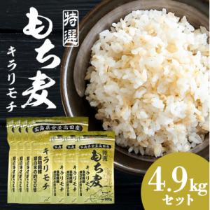 ふるさと納税 安芸高田市 もち麦 国産 キラリモチ 特選もち麦 4.9kgセット 広島県安芸高田産[No5895-0559]