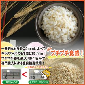ふるさと納税 安芸高田市 もち麦 国産 キラリ...の詳細画像2