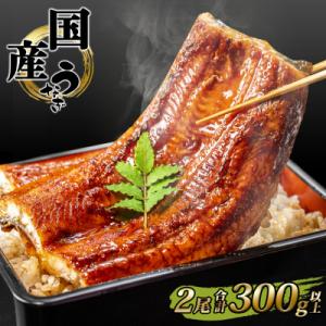 ふるさと納税 境町 国産 うなぎ 蒲焼き 境町秘伝のタレ 4度焼きあげ 2尾 計300g以上 簡易包装 タレ 山椒 付き