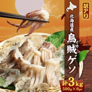 ふるさと納税 興部町 〔ワケあり〕北海道産　イカゲソ3.0kg【20007】