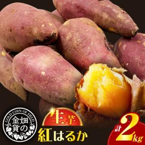 ふるさと納税 鹿児島市 畑の金貨 生芋 紅はるか2kg　K181-004
