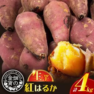 ふるさと納税 鹿児島市 畑の金貨 生芋 紅はるか...の商品画像