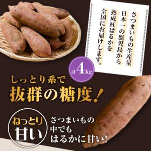 ふるさと納税 鹿児島市 畑の金貨 生芋 紅はる...の詳細画像2