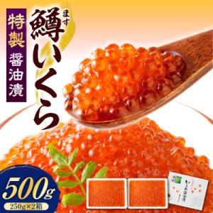 ふるさと納税 えりも町 えりも【マルデン特製】鱒イクラ醤油漬250g×2箱【er002-047-b】