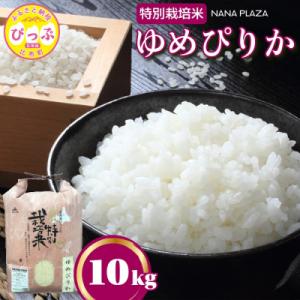 ふるさと納税 比布町 令和7年産 ナナプラザ 特別栽培米ゆめぴりか 10kg
