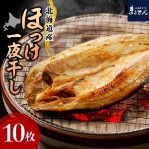 ふるさと納税 えりも町 えりも【マルデン特製】北海道産塩ホッケ10枚(200g以上)【er002-016-a】