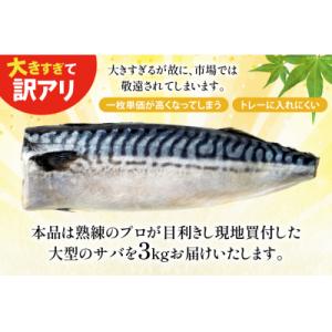 ふるさと納税 気仙沼市 訳あり 塩サバ フィレ...の詳細画像1