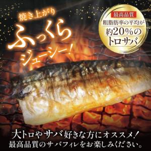 ふるさと納税 気仙沼市 訳あり 塩 サバ フィ...の詳細画像2