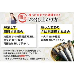 ふるさと納税 気仙沼市 訳あり 塩サバ フィレ...の詳細画像3