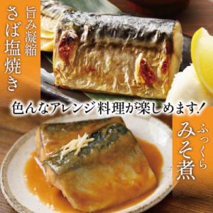 ふるさと納税 気仙沼市 訳あり 塩 サバ フィ...の詳細画像3