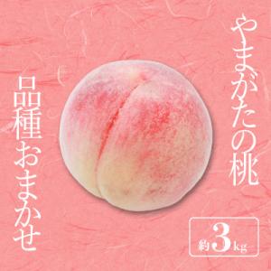 ふるさと納税 長井市 【2026年発送】「秀品」山形県産 桃(品種おまかせ)約3kg_H174(R8)