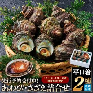 ふるさと納税 境港市 <平日着><1月上旬〜2月上旬頃順次配送>あわび・さざえ詰合せ(2種)