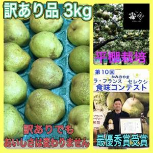 ふるさと納税 上山市 西洋梨(ラ・フランス)3kg　ご家庭用　0102-2604