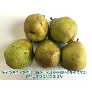 ふるさと納税 上山市 西洋梨(ラ・フランス)3...の詳細画像1