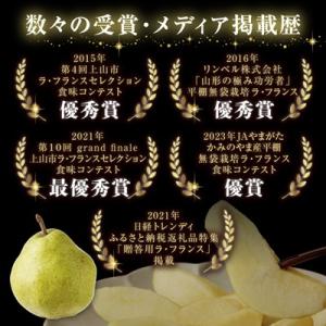 ふるさと納税 上山市 西洋梨(ラ・フランス)3...の詳細画像2