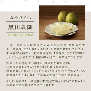 ふるさと納税 上山市 西洋梨(ラ・フランス)3...の詳細画像3