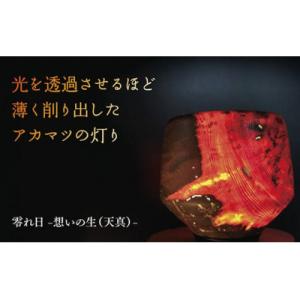 ふるさと納税 山口市 零れ日-想いの生(天真)- A003