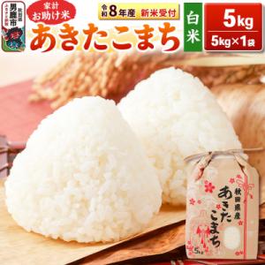 ふるさと納税 男鹿市 新米【白米】 あきたこまち 5kg|23_kml-010501s