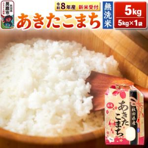ふるさと納税 男鹿市 新米【無洗米】秋田県産 あきたこまち一等米 5kg|23_kml-020501s