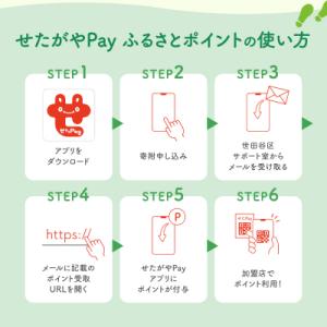 ふるさと納税 世田谷区 世田谷区 地域限定通貨...の詳細画像2