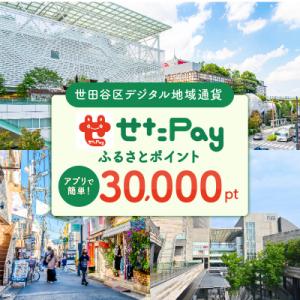 ふるさと納税 世田谷区 世田谷区 地域限定通貨「せたがやPay」 ふるさとポイント30,000pt(...