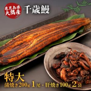 ふるさと納税 大崎町 鹿児島県大隅産　特大うなぎ蒲焼200g 1尾・鰻の肝焼き100g×2袋 セット