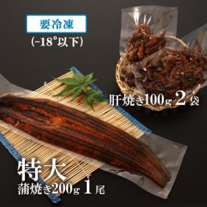 ふるさと納税 大崎町 鹿児島県大隅産 特大うな...の詳細画像1