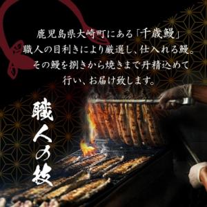 ふるさと納税 大崎町 鹿児島県大隅産 特大うな...の詳細画像2