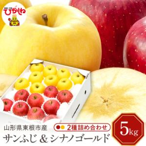 ふるさと納税 東根市 【令和7年産】りんごサンふじ&amp;シナノゴールド 詰め合わせ 5kg秀品 hi02...