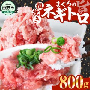 ふるさと納税 田野町 【四国一小さなまち】≪カネアリ水産≫ まぐろのネギトロ 800g(80g×10...
