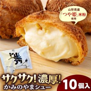 ふるさと納税 上山市 かみのやまシュー 10個 シュークリーム 0048-2613