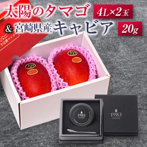 ふるさと納税 宮崎県 【令和9年発送】太陽のタマゴ(4L×2玉)と宮崎県産キャビア20g