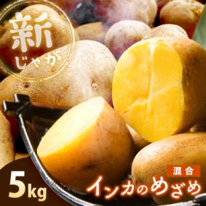ふるさと納税 恵庭市 《!数量限定!》【新じゃが】インカのめざめ 混合サイズ 5kg【8300090...