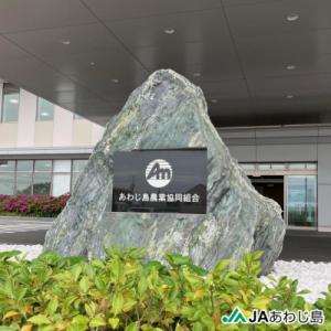 ふるさと納税 南あわじ市 JAあわじ島のほんま...の詳細画像1