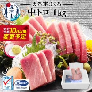 ふるさと納税 焼津市 マグロ 中トロ 訳あり 天然 本まぐろ中トロ 1kg(a23-028)