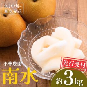 ふるさと納税 三条市 先行受付 和梨 南水 約3kg [9月中旬から発送予定] 新潟県産 [小林農園...