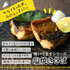 ふるさと納税 佐伯市 < 訳あり &gt...の詳細画像2