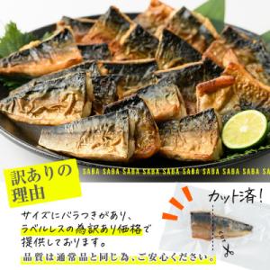 ふるさと納税 佐伯市 < 訳あり &gt...の詳細画像3
