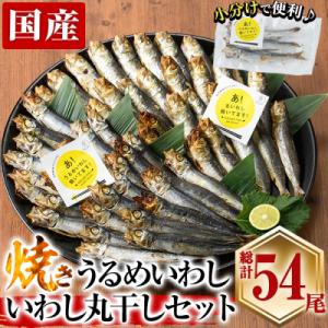 ふるさと納税 佐伯市 焼き うるめいわし 丸干し・焼き いわし 丸干し セット(総計54尾)