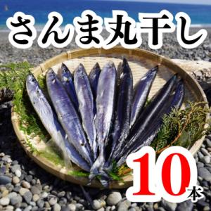 ふるさと納税 熊野市 さんま丸干し 10本 魚作...の商品画像