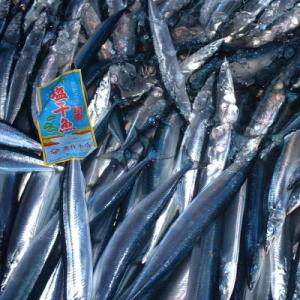 ふるさと納税 熊野市 さんま丸干し 10本 魚...の詳細画像3
