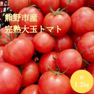 ふるさと納税 熊野市 熊野薬草園の大玉トマト(1.2kg)