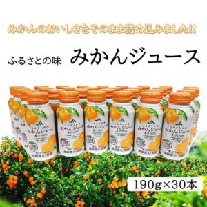 ふるさと納税 国東市 ふるさとの味 みかんジュース(190g×30本)_2403R