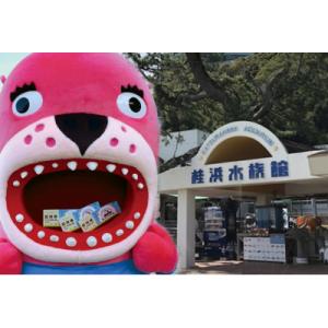 ふるさと納税 高知県 桂浜水族館　入館券【B06037】